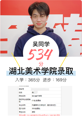 吴同学 - 艺术生文化课高分案例
