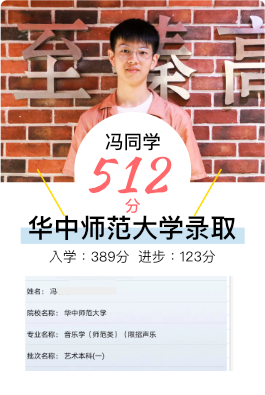 冯同学 - 至臻高考艺术生文化课提分