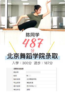 陈同学 - 武汉艺考生文化课提升案例